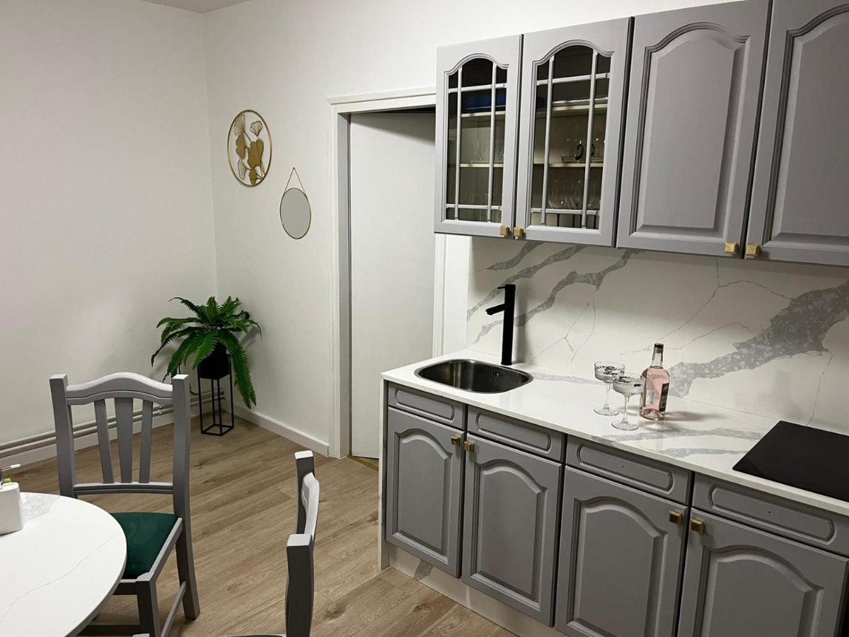 卡尔洛瓦茨Apartman Gold Maris公寓 外观 照片