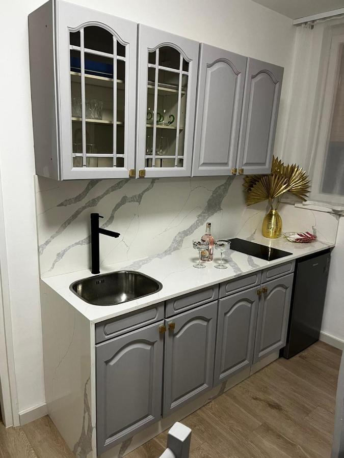 卡尔洛瓦茨Apartman Gold Maris公寓 外观 照片